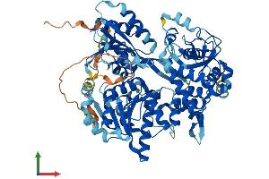 AlphaFold protein structure predicition of Human Recombinant DHX33 Protein, UniprotID Q9H6R0