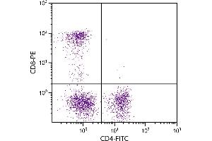 Feline peripheral blood lymphocytes were stained with Mouse Anti-Feline CD4-FITC. (CD4 Antikörper  (FITC))