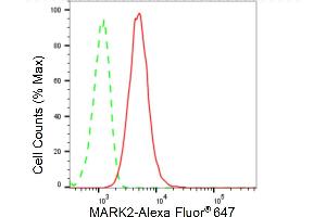 Flow cytometric analysis of MARK2 expression in HT- cells using MARK2 antibody (ABIN7799333), 1:2,000). (Rekombinanter MARK2 Antikörper)