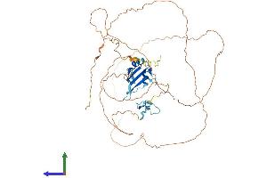 Protein Structure (PS) image for Fused in Sarcoma (FUS) (AA 1-518) protein (His tag) (ABIN7556499)