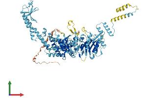 Protein Structure (PS) image for MutS Homolog 5 (MSH5) (AA 1-834) protein (His tag) (ABIN7549481)