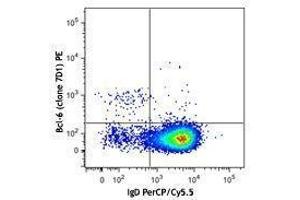 Flow Cytometry (FACS) image for anti-B-Cell CLL/lymphoma 6 (BCL6) antibody (PE) (ABIN2662403) (BCL6 Antikörper  (PE))