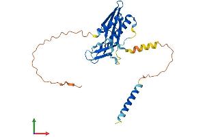 AlphaFold protein structure predicition of Human Recombinant RTP1 Protein, UniprotID P59025