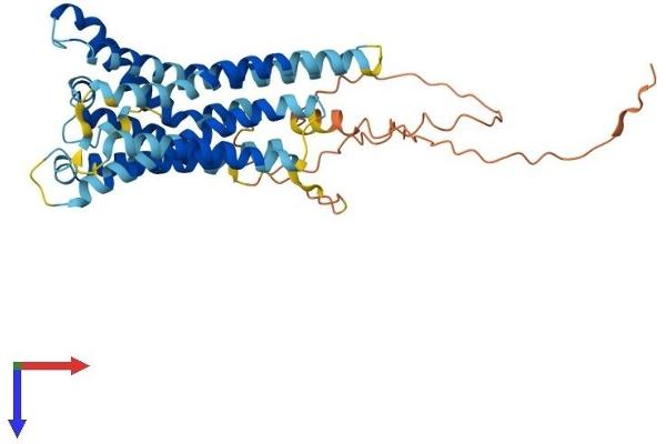 GPR143 Protein (AA 1-404) (His tag)
