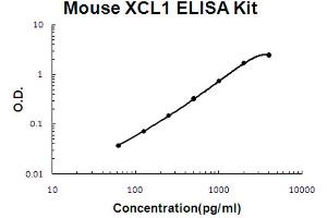 Mouse XCL1/Lymphotactin Accusignal ELISA Kit Mouse XCL1/Lymphotactin AccuSignal ELISA Kit standard curve.