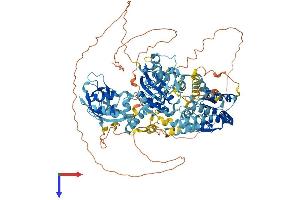 HLTF Protein (AA 1-1009) (His tag)
