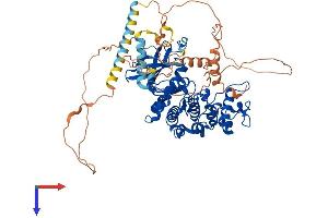 SRPK1 Protein (AA 1-655) (His tag)
