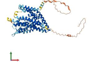 Protein Structure (PS) image for Solute Carrier Family 1 Member 5 (SLC1A5) (AA 1-541) protein (His tag) (ABIN7551916)