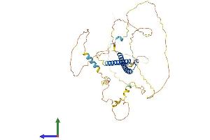 Protein Structure (PS) image for N-Myc Proto-Oncogene Protein (MYCN) (AA 1-462) protein (His tag) (ABIN7562739)