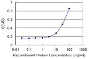 Detection limit for recombinant GST tagged FAS is 1 ng/ml as a capture antibody. (FAS Antikörper  (AA 1-335))