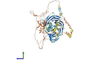 Protein Structure (PS) image for TATA Box Binding Protein (TBP)-Associated Factor, RNA Polymerase I, C, 110kDa (TAF1C) (AA 1-869) protein (His tag) (ABIN7555685)