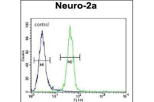 RT34 Antibody (N-term) (ABIN654944 and ABIN2844585) flow cytometric analysis of Neuro-2a cells (right histogram) compared to a negative control cell (left histogram). (MRPS34 Antikörper  (N-Term))