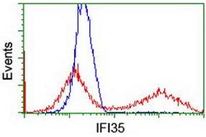 HEK293T cells transfected with either RC200929 overexpress plasmid (Red) or empty vector control plasmid (Blue) were immunostained by anti-IFI35 antibody (ABIN2454902), and then analyzed by flow cytometry. (IFI35 Antikörper)