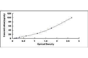 Typical standard curve (VKORC1 ELISA Kit)