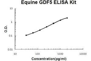 Horse equine GDF5 PicoKine ELISA Kit standard curve