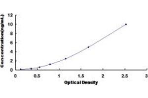 Typical standard curve (MTFMT ELISA Kit)