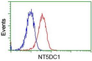 Image no. 1 for anti-5'-Nucleotidase Domain Containing 1 (NT5DC1) antibody (ABIN1499833) (NT5DC1 Antikörper)
