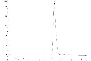 The purity of Cynomolgus DNAM-1 is greater than 95 % as determined by SEC-HPLC. (CD226 Protein (CD226) (AA 19-252) (His tag))