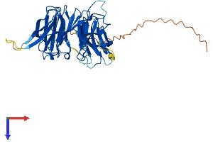 SEH1L Protein (AA 1-360) (His tag)