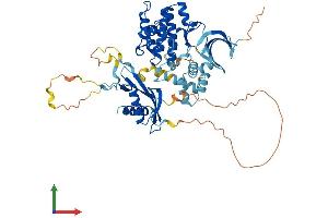 Protein Structure (PS) image for Protein Kinase, AMP-Activated, alpha 2 Catalytic Subunit (PRKAA2) (AA 1-552) protein (His tag) (ABIN7564415)