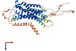 Relaxin 3 Receptor 1 Protein (RXFP3) (AA 1-469) (His tag)