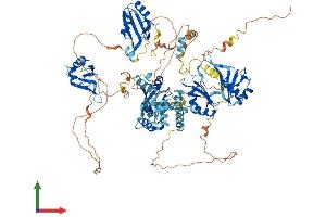 Protein Structure (PS) image for RNA Binding Motif Protein 19 (RBM19) (AA 1-960) protein (His tag) (ABIN7551290)