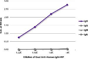 ELISA plate was coated with purified human IgD, IgG, IgM, and IgA. (Ziege anti-Human IgD (Heavy Chain) Antikörper (HRP))