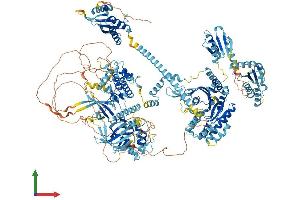 Protein Structure (PS) image for Eukaryotic Translation Initiation Factor 2 alpha Kinase 4 (EIF2AK4) (AA 1-1649) protein (His tag) (ABIN7553734)