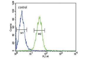 Flow Cytometry (FACS) image for anti-Cartilage Oligomeric Matrix Protein (COMP) antibody (ABIN3002869) (COMP Antikörper)
