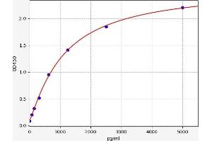 Growth Differentiation Factor 3 (GDF3) ELISA Kit