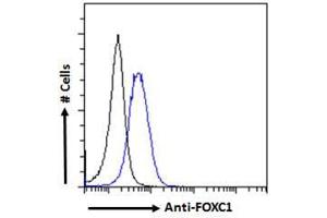 Flow Cytometry (FACS) image for anti-Forkhead Box C1 (FOXC1) (C-Term) antibody (ABIN185028)