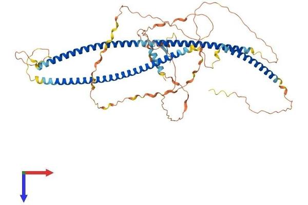 TBKBP1 Protein (AA 1-615) (His tag)