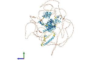 Protein Structure (PS) image for Activity-Dependent Neuroprotector Homeobox (ADNP) (AA 1-1102) protein (His tag) (ABIN7552033)