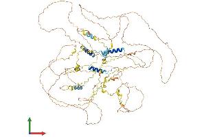 Protein Structure (PS) image for Synaptopodin (SYNPO) (AA 1-929) protein (His tag) (ABIN7564533)