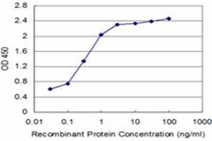 Detection limit for recombinant GST tagged SYNE2 is approximately 0. (SYNE2 Antikörper  (AA 6702-6799))