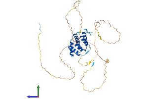 AlphaFold protein structure predicition of Human Recombinant PPP4R2 Protein, UniprotID Q9NY27