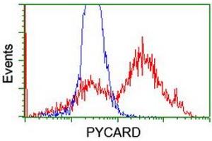 Image no. 8 for anti-PYD and CARD Domain Containing (PYCARD) antibody (ABIN1500518)