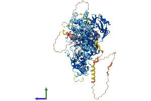 Protein Structure (PS) image for Phosphorylase Kinase, alpha 2 (PHKA2) (AA 1-1235) protein (His tag) (ABIN7564445)