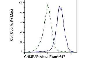 Validation of CHMP2B knockdown using flow cytometry.