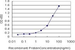 Detection limit for recombinant GST tagged APLN is approximately 0. (Apelin Antikörper  (AA 1-122))