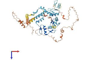 Protein Structure (PS) image for Zinc Finger Protein 891 (ZNF891) (AA 1-544) protein (His tag) (ABIN7545409)