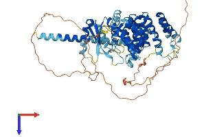 SPATA16 Protein (AA 1-569) (His tag)