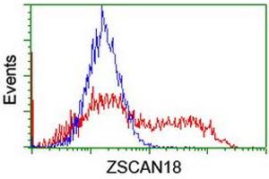 Image no. 2 for anti-Zinc Finger and SCAN Domain Containing 18 (ZSCAN18) antibody (ABIN1501856) (ZSCAN18 Antikörper)