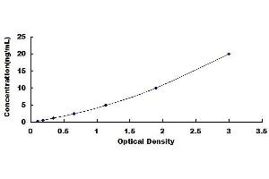 Typical standard curve (RAB5 ELISA Kit)