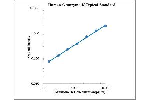 ELISA image for Granzyme K (Granzyme 3, Tryptase II) (GZMK) ELISA Kit (ABIN2472070)
