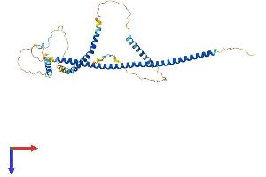GKAP1 Protein (AA 1-366) (His tag)