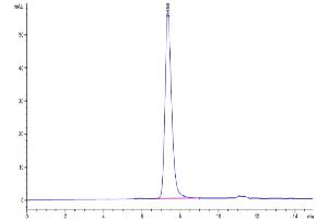Size-exclusion chromatography-High Pressure Liquid Chromatography (SEC-HPLC) image for Protein tyrosine Phosphatase, Receptor Type, C (PTPRC) (AA 26-416) protein (His-Avi Tag) (ABIN7275500)