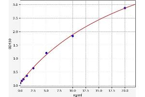 CRHR2 ELISA Kit