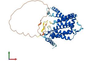 Protein Structure (PS) image for Sphingosine-1-Phosphate Phosphatase 1 (SGPP1) (AA 1-430) protein (His tag) (ABIN7561539)