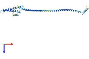 LZTFL1 Protein (AA 1-299) (His tag)